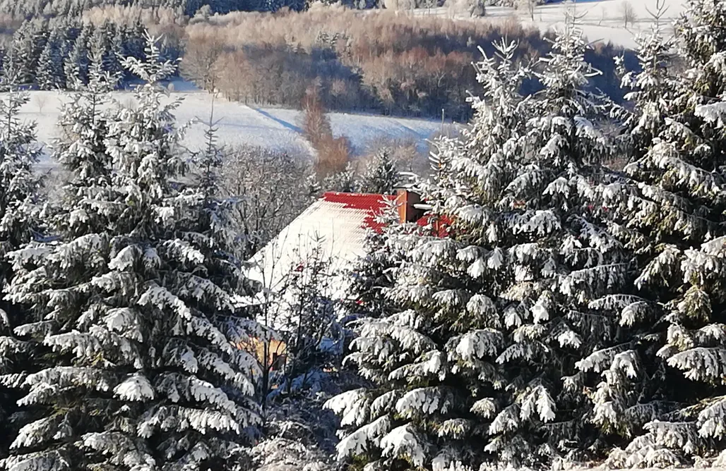 AlohaCamp Apartament Kaczuszka 1