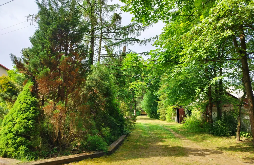 AlohaCamp Domek Paproć 1