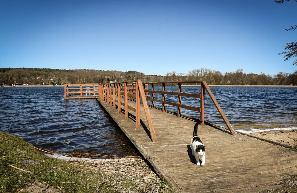 noclegi AlohaCamp Zakątek Mala 5