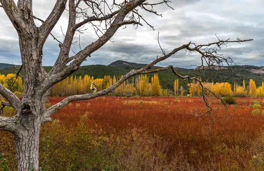 Zdjęcie obiektu Cabañas en Cuenca