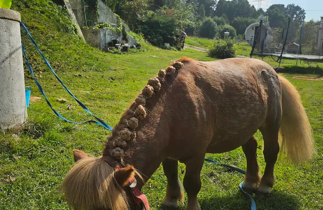 Hotel Szczyrk Dolina Jamcito 1
