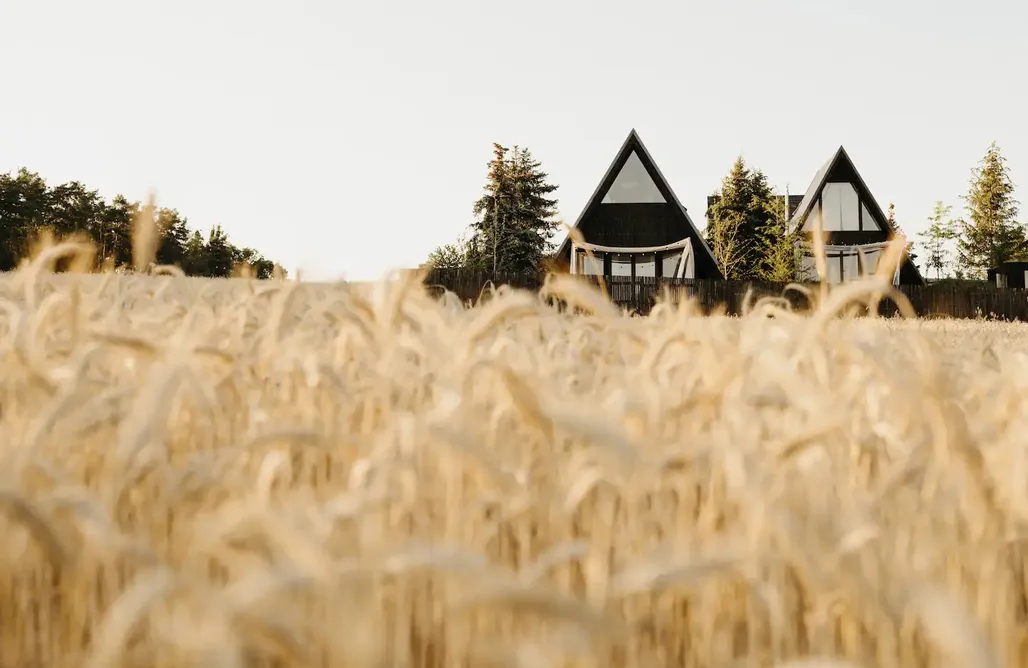 noclegi AlohaCamp Tu Zatrzymaj Czas 1