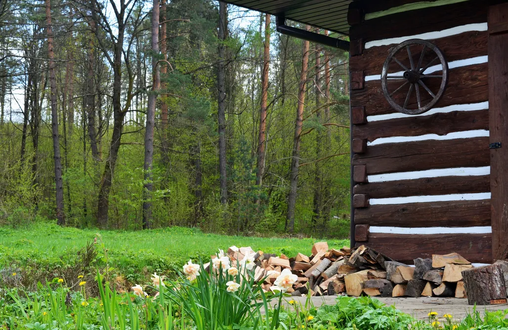 Domek W Lesie Nad Jeziorem Czadzie Sioło 1