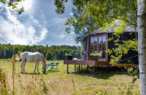 Zdjęcie obiektu Jurta pod Brzozami