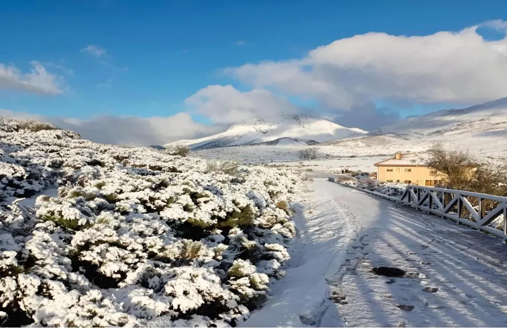 AlohaCamp Apartamento 1