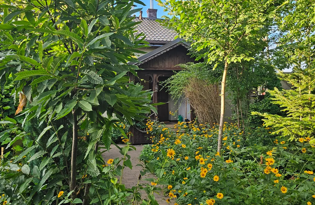 Sobolew noclegi Ranczo Przyłęk 2