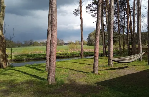 Image of Camper and Tent Pitch - Liwiec