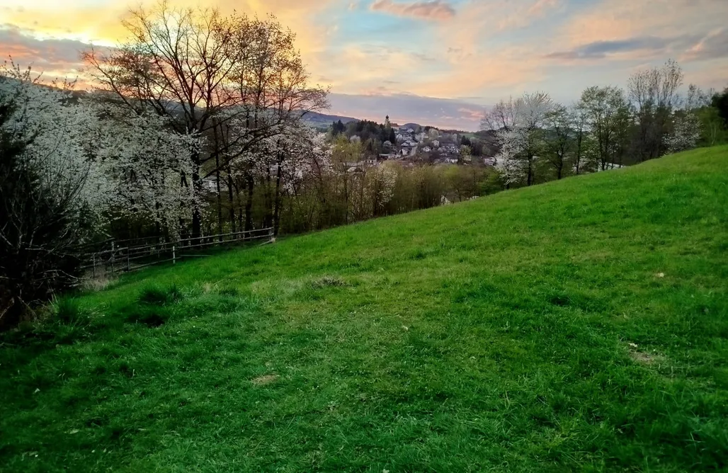 Unterkunft AlohaCamp einzigartiges Campingerlebnis im Schlaffass 5
