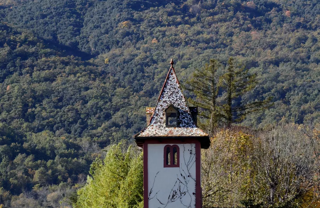 AlohaCamp Habitación 2 1
