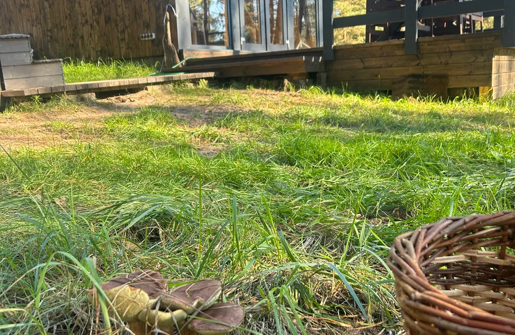 AlohaCamp Leśny Domek Agroturystyka Kostomloty nad Bugiem  1