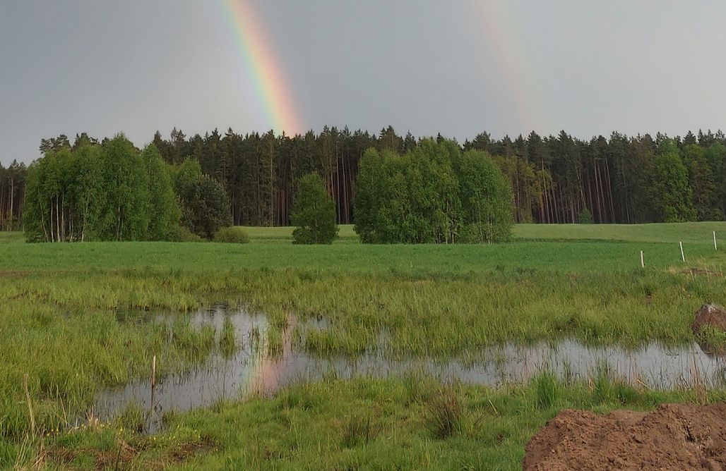 noclegi AlohaCamp Miejsce kamperowe - Stajnia "Koń Polny" 2