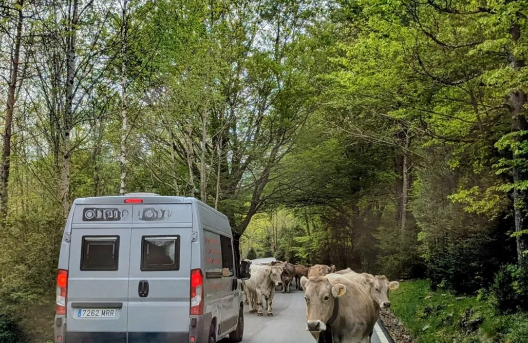 alojamientos AlohaCamp Camper Van en Barcelona: Nomad4 Esterri 4