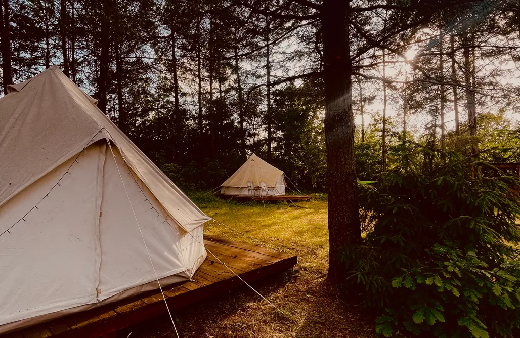 noclegi AlohaCamp Glamping Eko "Koziołeczek" 2