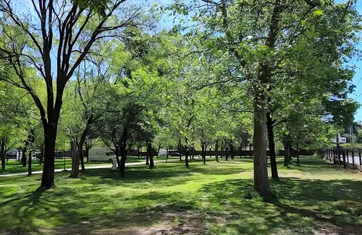 Imagen de Zona para autocaravanas y tiendas - Camping Peregrino San Marcos