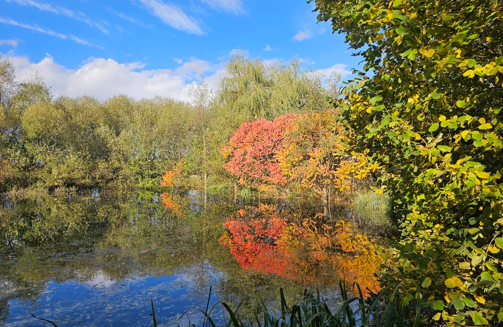 AlohaCamp Zielona Dolina  517-626-480  1