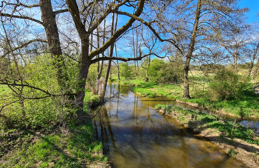 AlohaCamp accommodation Dom "Na Hamaku" 1