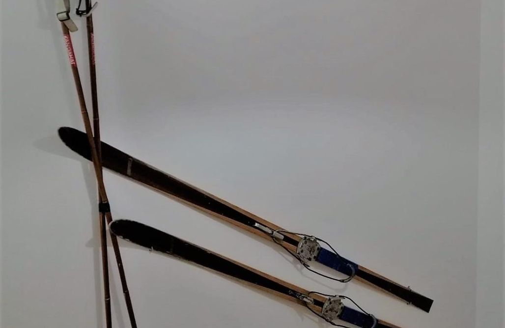 AlohaCamp Domek na wyłączność  1