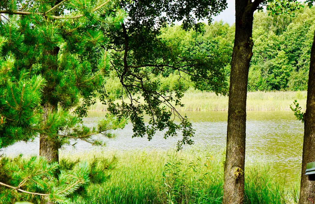 noclegi AlohaCamp Jeleń 47 1