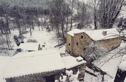 Imagen de Casa Zorro