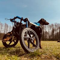 Ares gospodarz aResowa Wioska