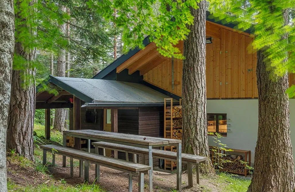 ubytování AlohaCamp Haus im Wald 4