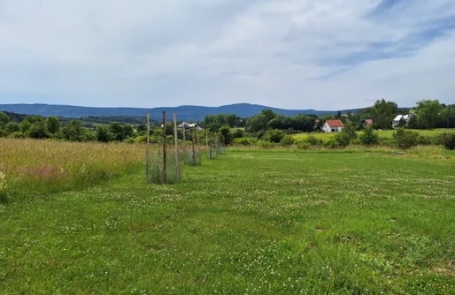 Zdjęcie obiektu Jurta Na polanie smaczne spanie