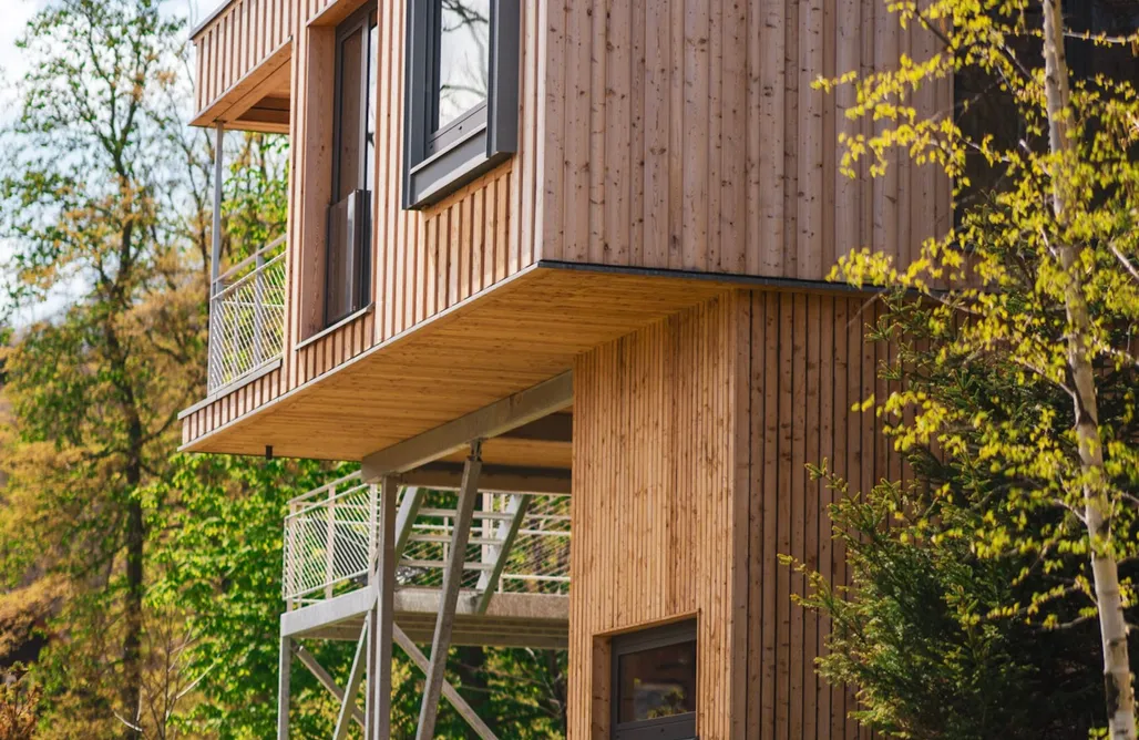 Unterkunft AlohaCamp Baumwipfelhaus Scharfenstein-Loft 5