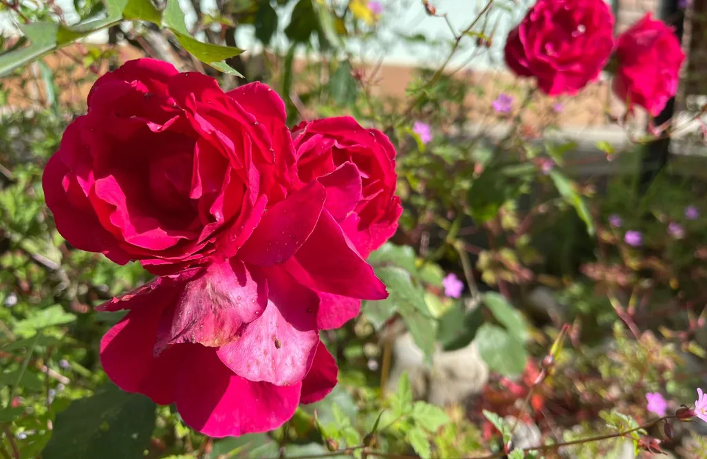 Vacanza Spagna Apartamento Dacarreda para 6 personas en Villamayor 1