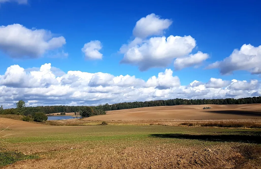 AlohaCamp Domek Wilcza Polana 1