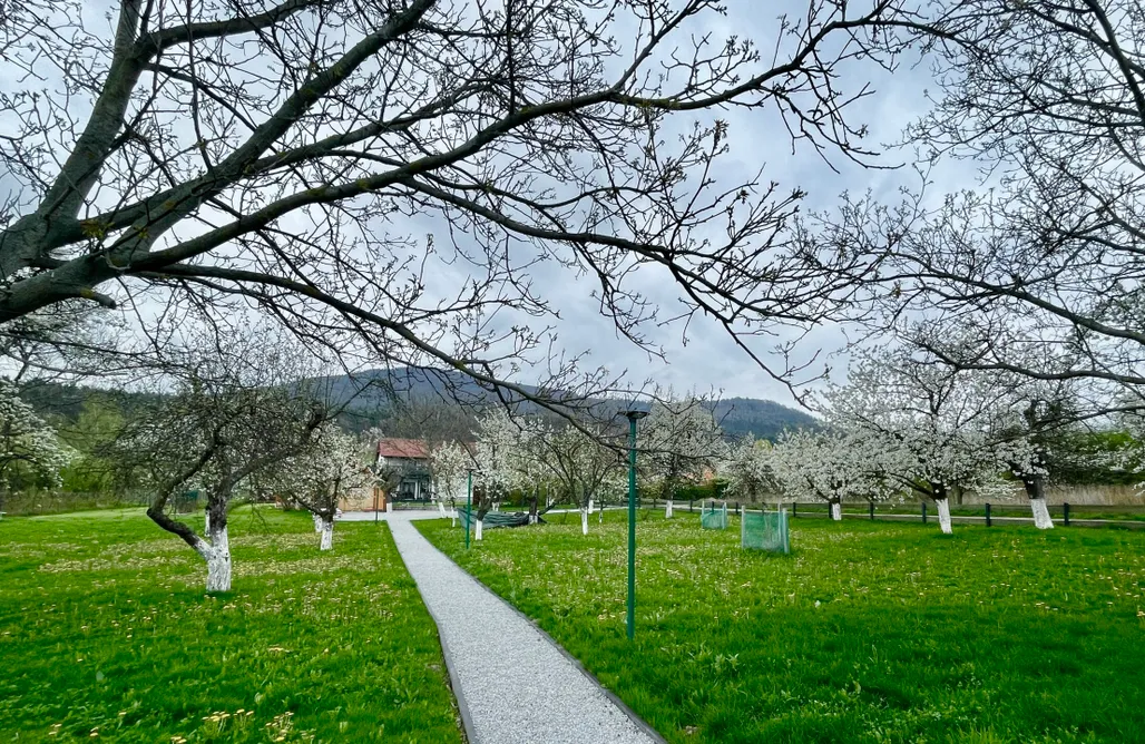 Glamping Princess Ślęża  3