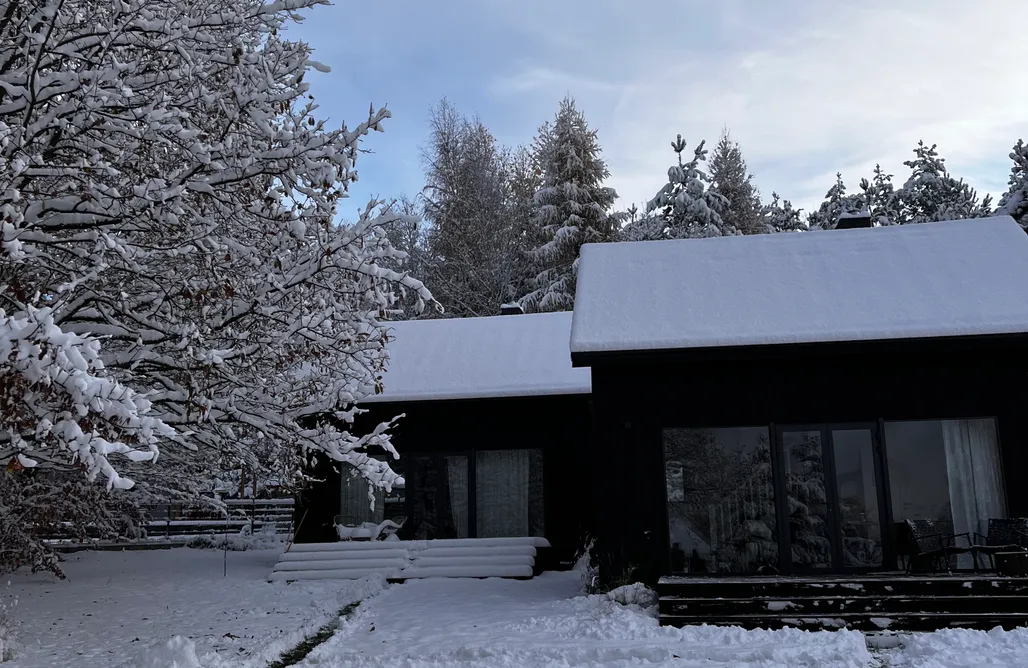 AlohaCamp Amazonia Green 1