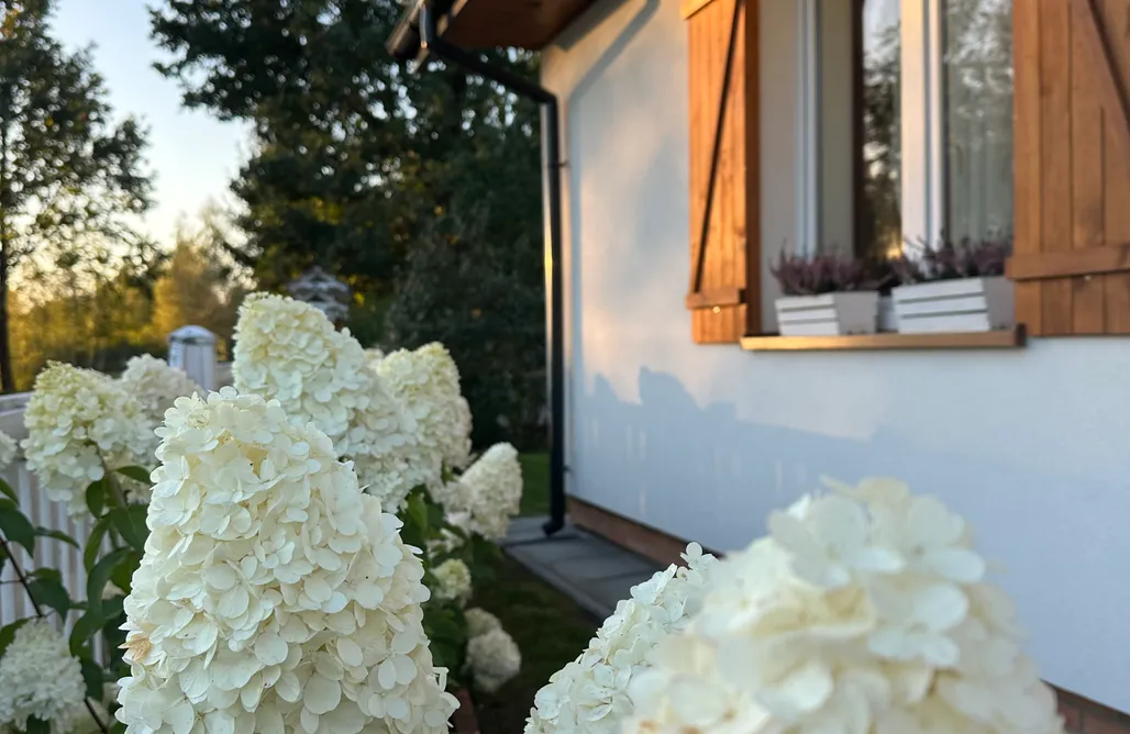 AlohaCamp accommodation Międzyleś 68  3