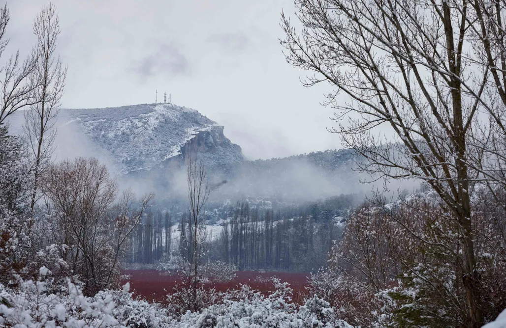 AlohaCamp Cabaña Grande 1