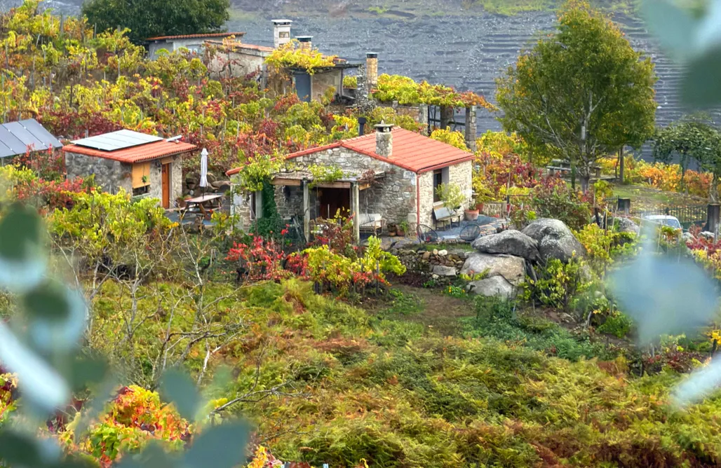 Casiña Raíz Entre viñas y cielo Ribeira Sacra AlohaCamp