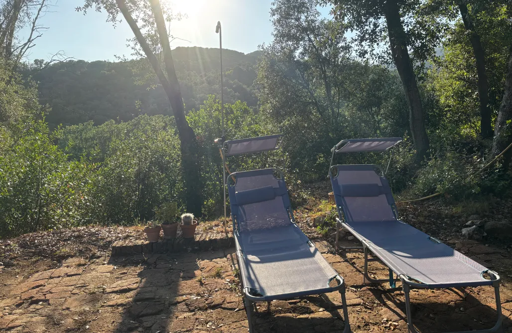 alojamientos AlohaCamp The green Woodhouse  1