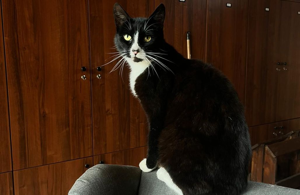 noclegi AlohaCamp Stajnia Paskudy pokoje 1