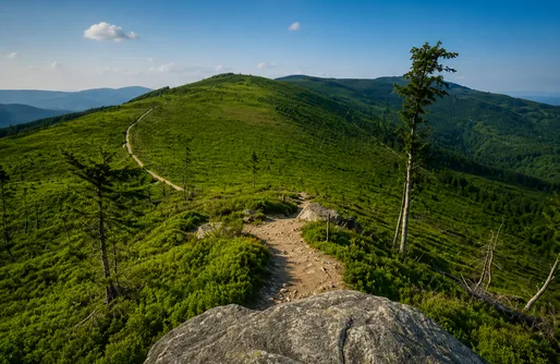 Zdjęcie obiektu Glamping-Zimnik