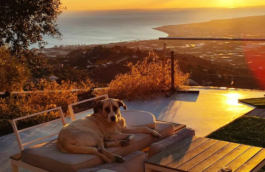 AlohaCamp accommodation Villa Olimpia 3