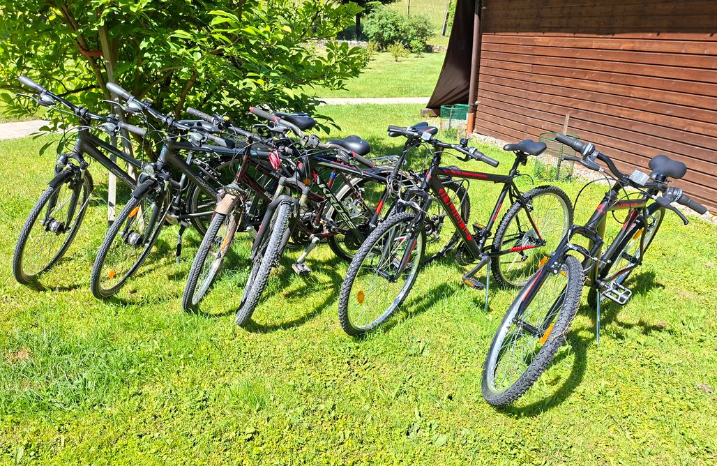 AlohaCamp Wilkiejmy Wieś 1