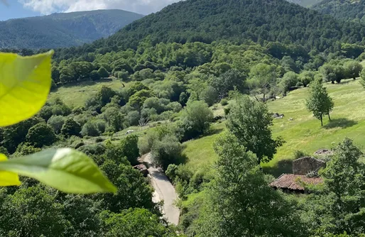 Imagen de Gredos Starlight House