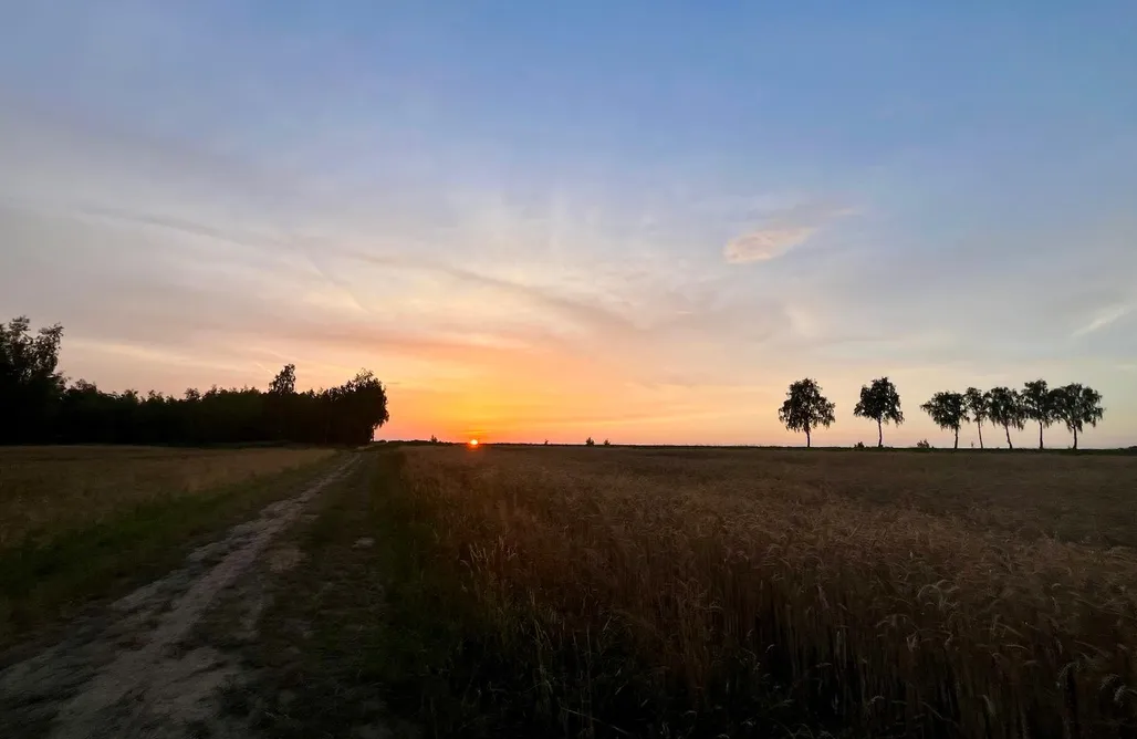 Miejsce kamperowo-namiotowe Siedlisko Przylesie AlohaCamp