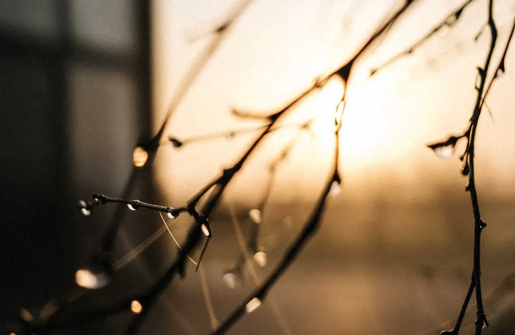 Jeziorany Noclegi Fejny Dom 1