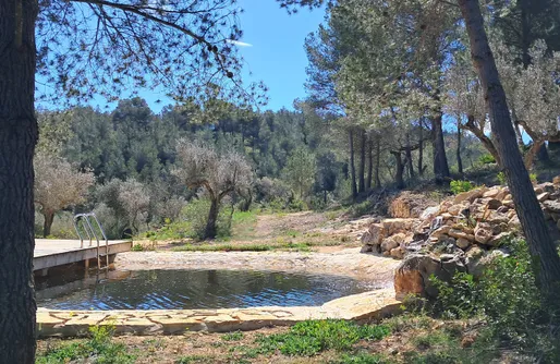 Imagen de Finca Emmita