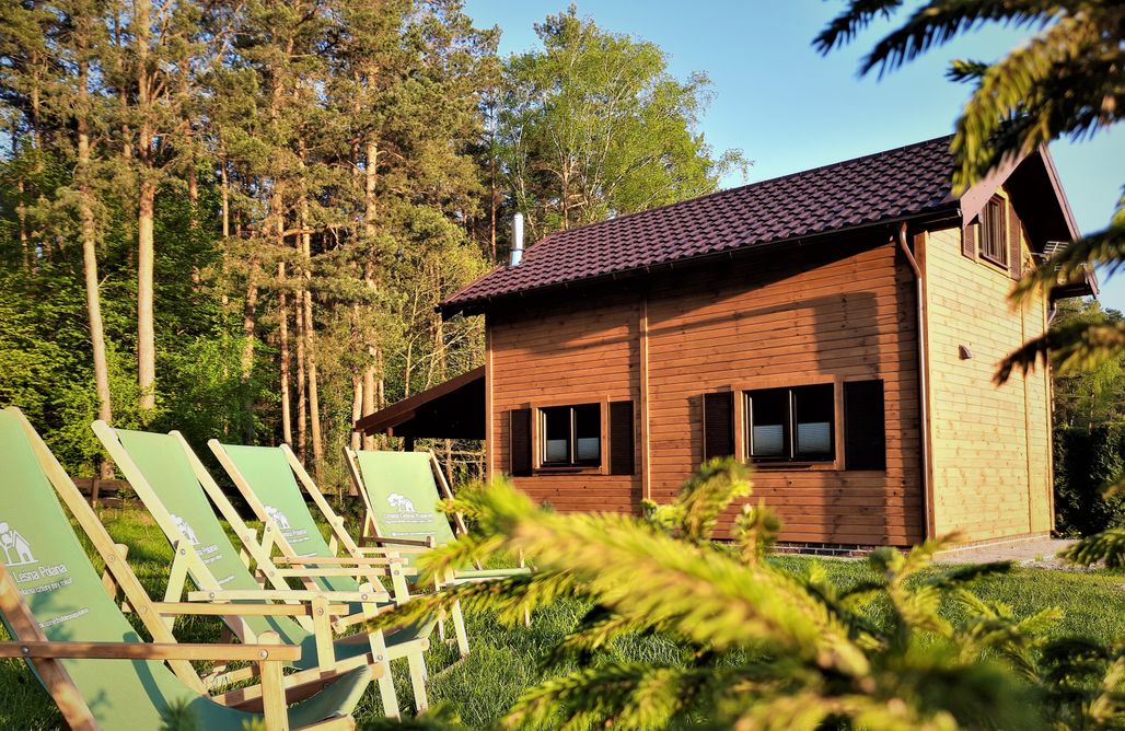 Glamping Poland Chata Leśna Polana 3