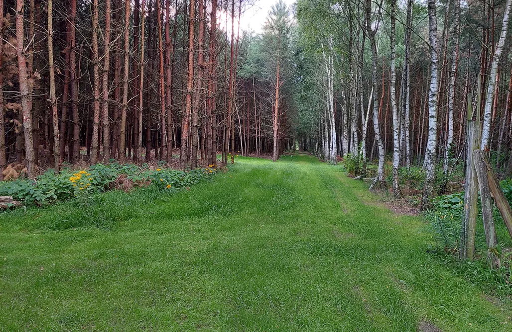 Pole namiotowe Łódź Miejsce kamperowe - Camping Stary Spichlerz nad Wartą 3