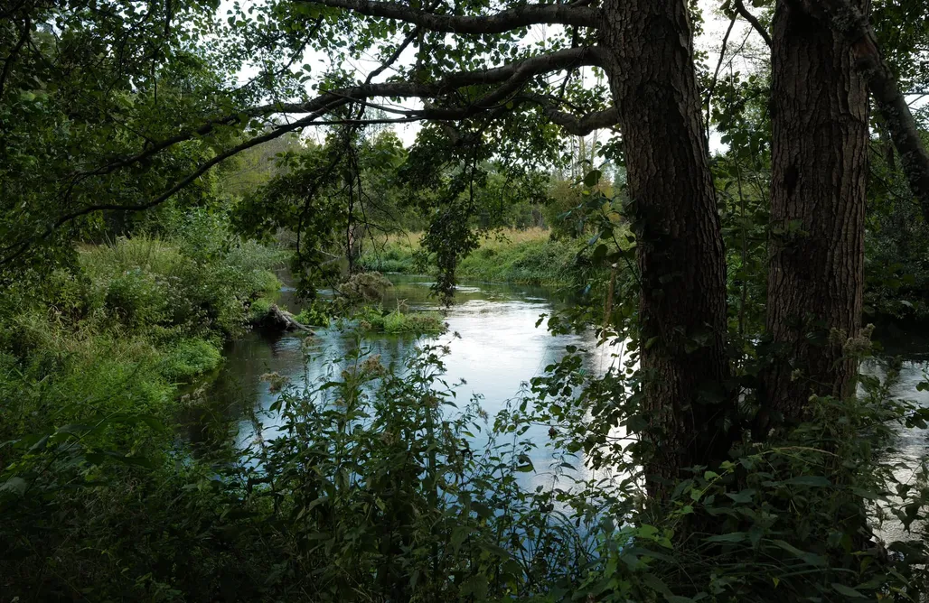 Stare Osieczno Domki Dworek Drawa 1