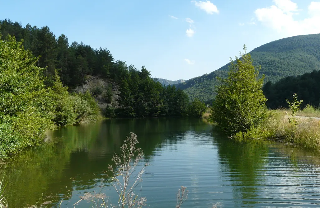 alojamientos AlohaCamp Cabanyes Les Flors 1