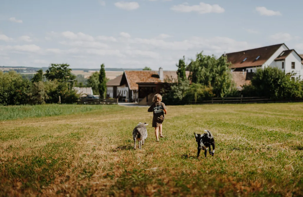 AlohaCamp accommodation Rittergut Positz 1