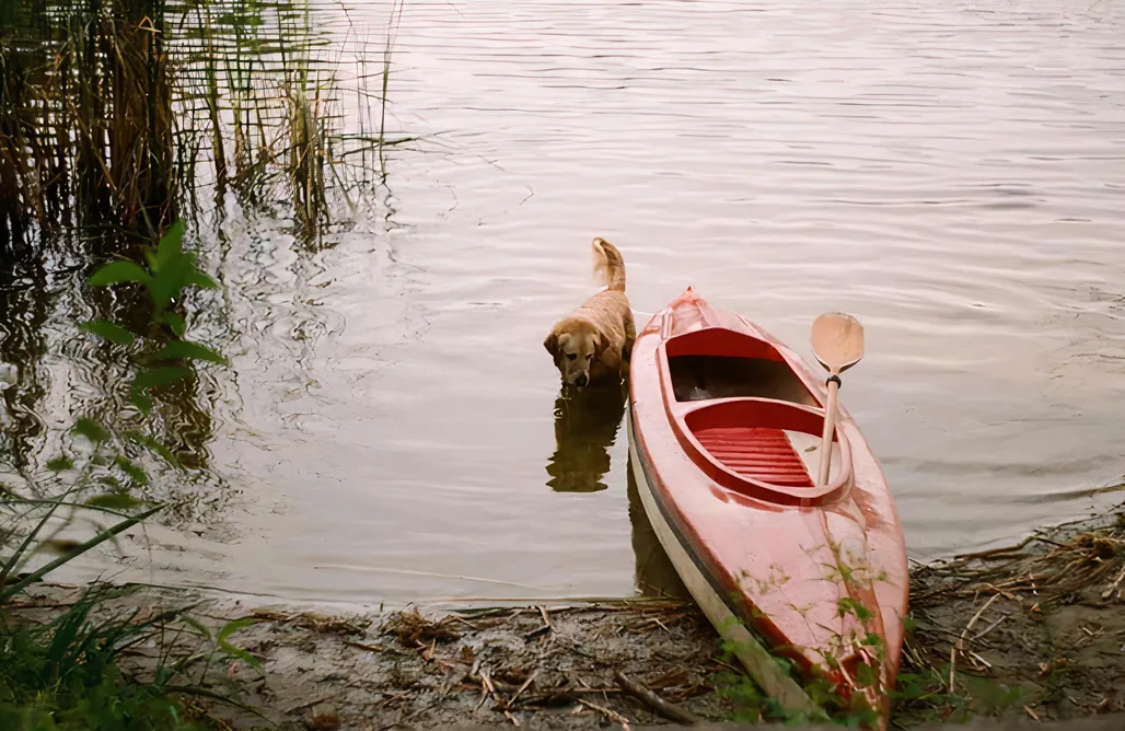 Skorzęcin Domki Dom Przemian 1