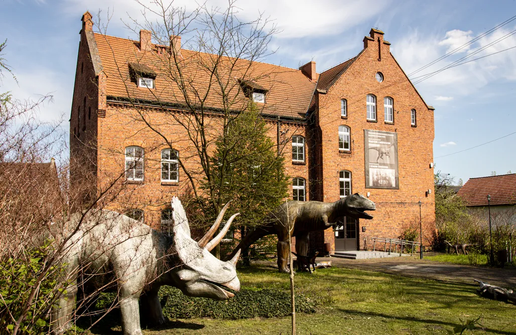 AlohaCamp accommodation Wiewiórki i Bobry 1